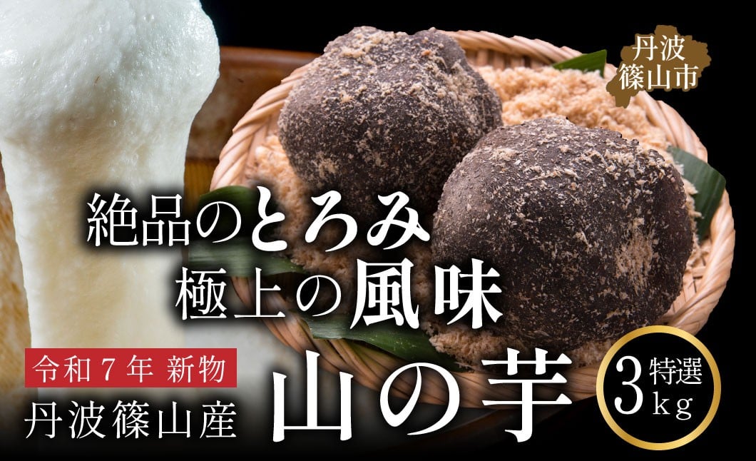 
            【12/25迄年内発送】丹波篠山産 山の芋 令和7年 新物 選べる 【 3kg 10~12個入り 】数量限定 おせち 鍋 滋養強壮 やまのいも芋 山芋 やまのいも とろろ 霧芋 丹波篠山 贈答用
          