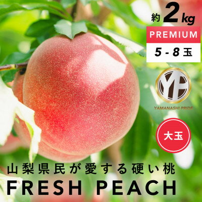 【ふるさと納税】2025年先行予約 晩生種 約2kg 5~8個 大ぶり歯ごたえ◎ YAMANASHI PRIDE 桃_ ふるさと納税 ふるさと もも モモ フルーツ 果物 くだもの 山梨県 山梨市 山梨 人気 送料無料【配送不可地域：離島】【1425351】