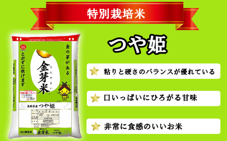 【定期便】BG無洗米・金芽米つや姫 5kg×3回 （隔月）計量カップ無し 令和7年産 2ヶ月に1回 6ヶ月 計15kg 東洋ライス 健康 島根県 安来市 【価格変更】【45-SS-45-2】