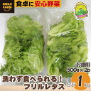 【ふるさと納税】＜農薬不使用＞洗わず食べられる！フリルレタス お徳用 1kg | 埼玉県 東松山市 レタス サラダ 1kg 緑黄色野菜 洗わず食べる 野菜 サラダ 新鮮な 便利 ナチュラル グリーン サラダ野菜 ダイエット 肉巻き 安心 安全 食卓 農薬不使用 健康 おいしい フレッシュ