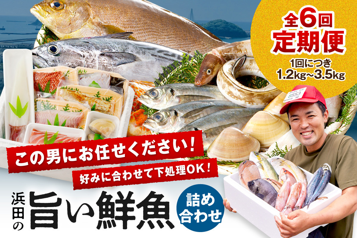 
            この男魅せる！～浜田の旨い鮮魚6回お届けコース～ プレミアム 鮮魚 定期便 6回 セット 詰め合わせ お取り寄せ 旬 【006_2047】
          