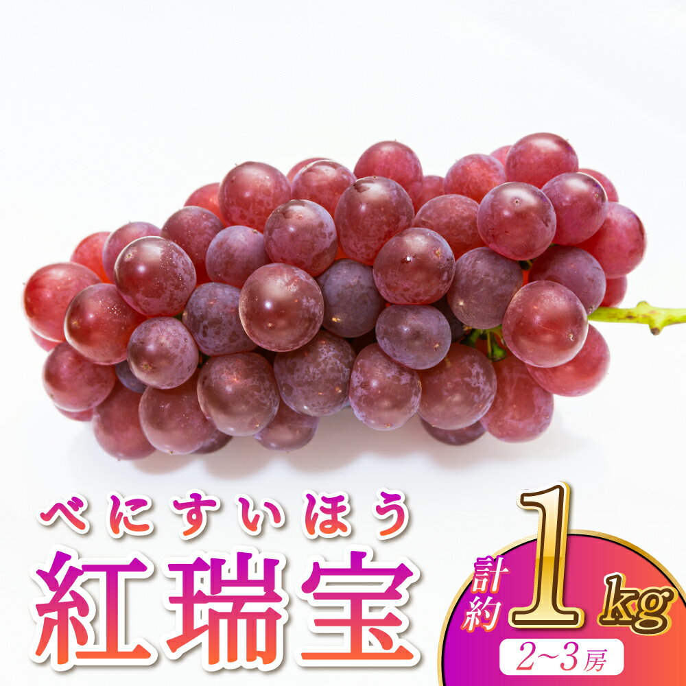 【ふるさと納税】 ぶどう 紅瑞宝 べにずいほう 約1kg 2〜3房 河野ぶどう園 葡萄 産地直送 ロゼ 宇城市産 熊本県産 送料無料 河野ぶどう園【2026年8月中旬〜9月中旬頃順次発送予定】