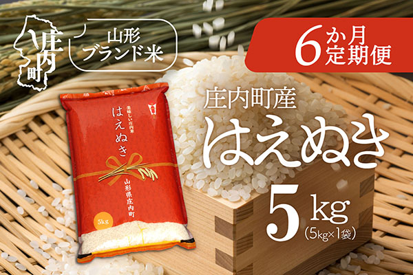 ＜5月中旬発送＞庄内米6か月定期便！はえぬき 5kg【入金期限：2026.4.25】ブランド米 米 国産 単一原料米 山形 庄内平野 コシヒカリの原点、亀の尾発祥の地 庄内 定期