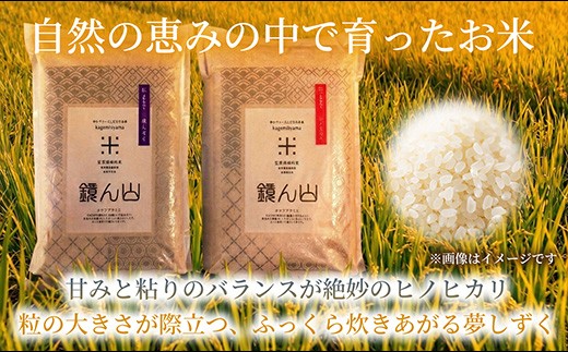甘みと粘りのバランスが絶妙のヒノヒカリ
粒の大きさが際立つ、ふっくら炊きあがる夢しずく