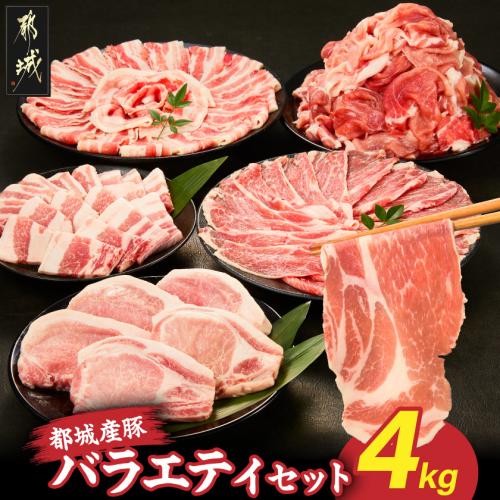 都城産豚バラエティセット4kg〔18-25-017〕