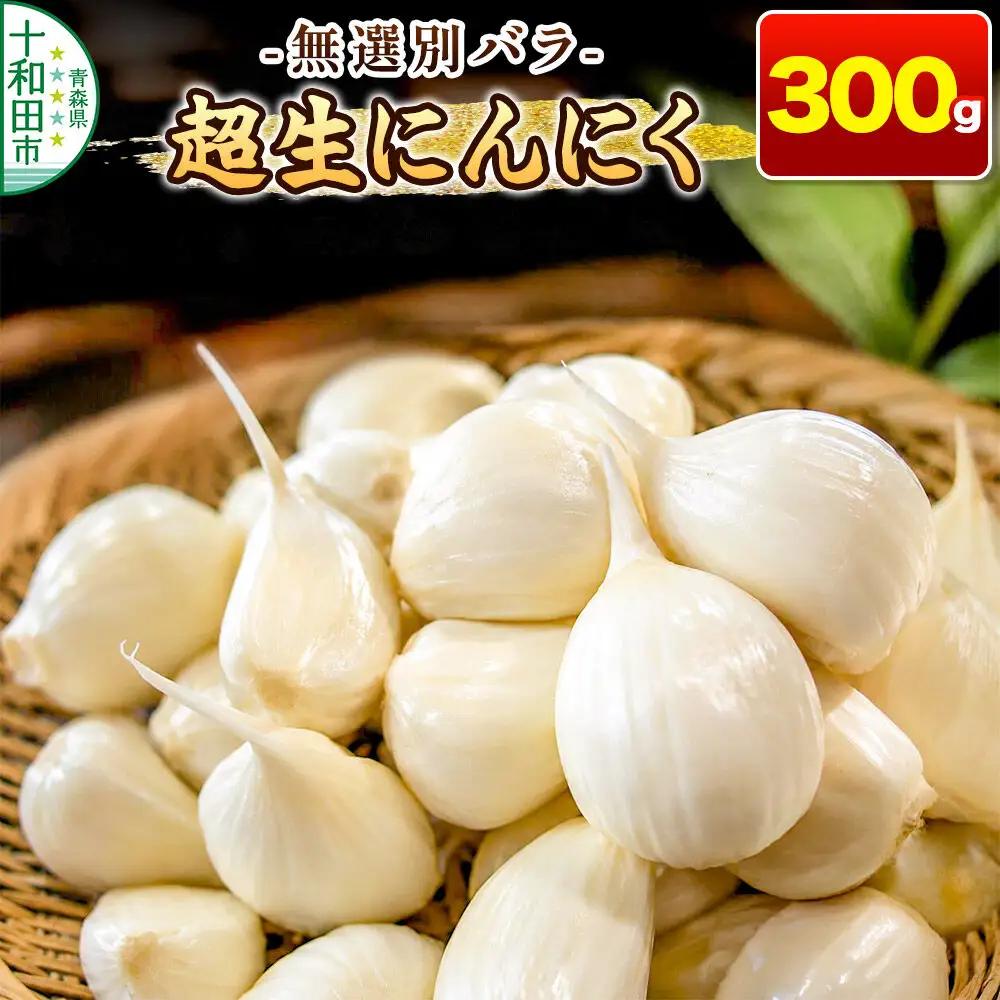 超生にんにく 無選別バラ300g 青森県産