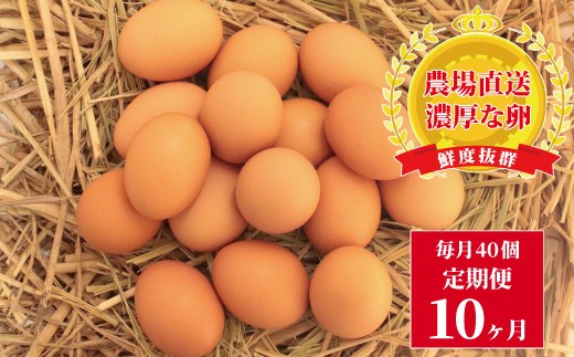 
                  たまごのお店 むこたま［農場たまご］Mサイズ 40個入 定期便10ヶ月 [№5412-0098]
                