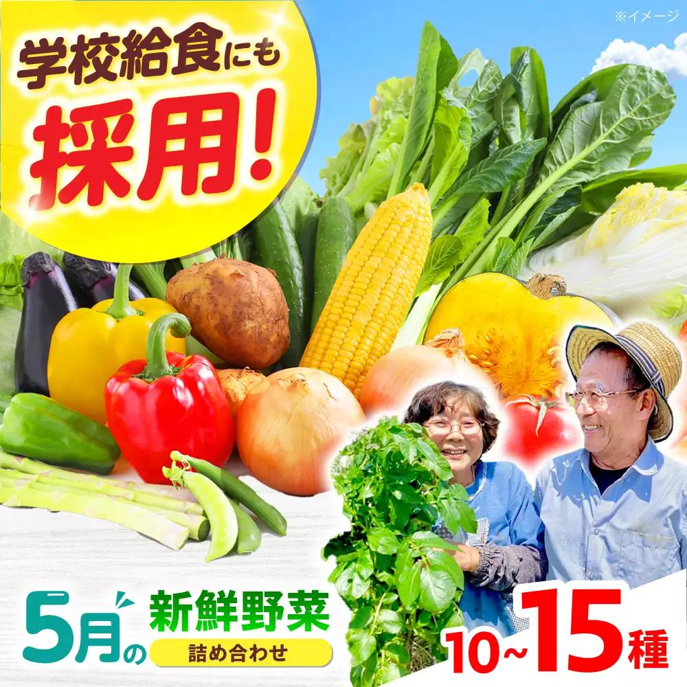 高槻野菜おまかせ詰め合わせセット 5月（10種〜15種）[AOCS011] 野菜セット