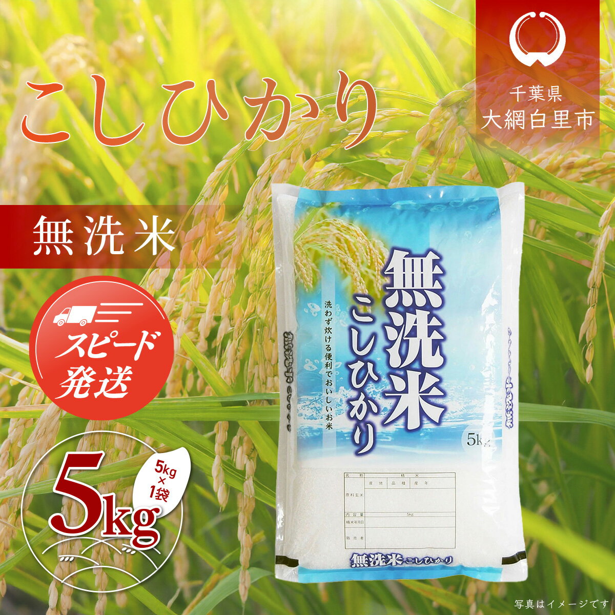 【ふるさと納税】令和6年産 千葉県産「コシヒカリ」無洗米 5kg（5kg×1袋） ふるさと納税 米 無洗米 コシヒカリ こしひかり 千葉県 大網白里市 A056