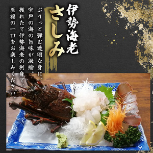 【 訳あり 伊勢海老 】 伊勢海老 1.5kg 5尾