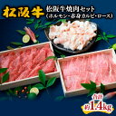 【ふるさと納税】松阪牛焼肉セット（ホルモン・赤身カルビ・ロース）松阪牛 松坂牛 牛肉 ブランド牛 高級 和牛 日本三大和牛 国産 霜降り 焼肉 焼き肉 焼肉用 焼き肉用 バーベキュー BBQ ホルモン焼き ホルモン焼 カルビ ロース肉 冷凍