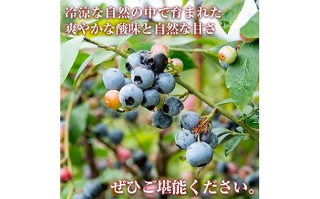 A-041 ブルーベリージュース・ジャムセット【霧島農産加エグループふきのとう】霧島市 ブルーベリー ジャム 詰め合わせ 新鮮 加工品 詰合せ フルーツ