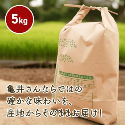 ふるさと納税 伊勢原市 新米 [令和7年産] 伊勢原産 精米 5kg はるみ 農家直送!亀井さんちのうんめぇ米 |  | 02