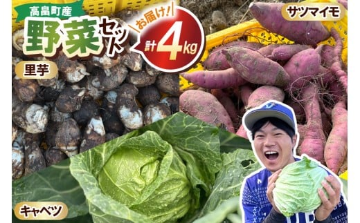 【期間限定発送】 3種 野菜 ( キャベツ さつまいも 里芋 ) 計約4kg セット [農家の店しゃんくすろーど 山形県 高畠町 tk06bcz250000] やさい 詰め合わせ サツマイモ 芋 さといも 食べ比べ