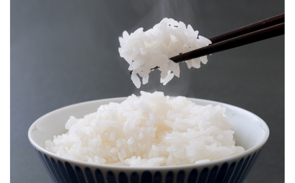 【令和７年産】宮城県美里町産 ひとめぼれ 精米 5kg（5kg×１袋）