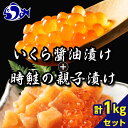 【ふるさと納税】北海道 知床羅臼産 時鮭（ときしらず）の親子漬け・醤油いくらセット（計1kg）いくら 醤油漬け 魚 海産物 魚介類 魚介 生産者 支援 応援 F21M-124