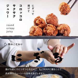 唐揚げ（もも）だし塩＋醤油 各500g 計1kg＜京都唐揚げ専門店 開＞鶏肉 鶏肉