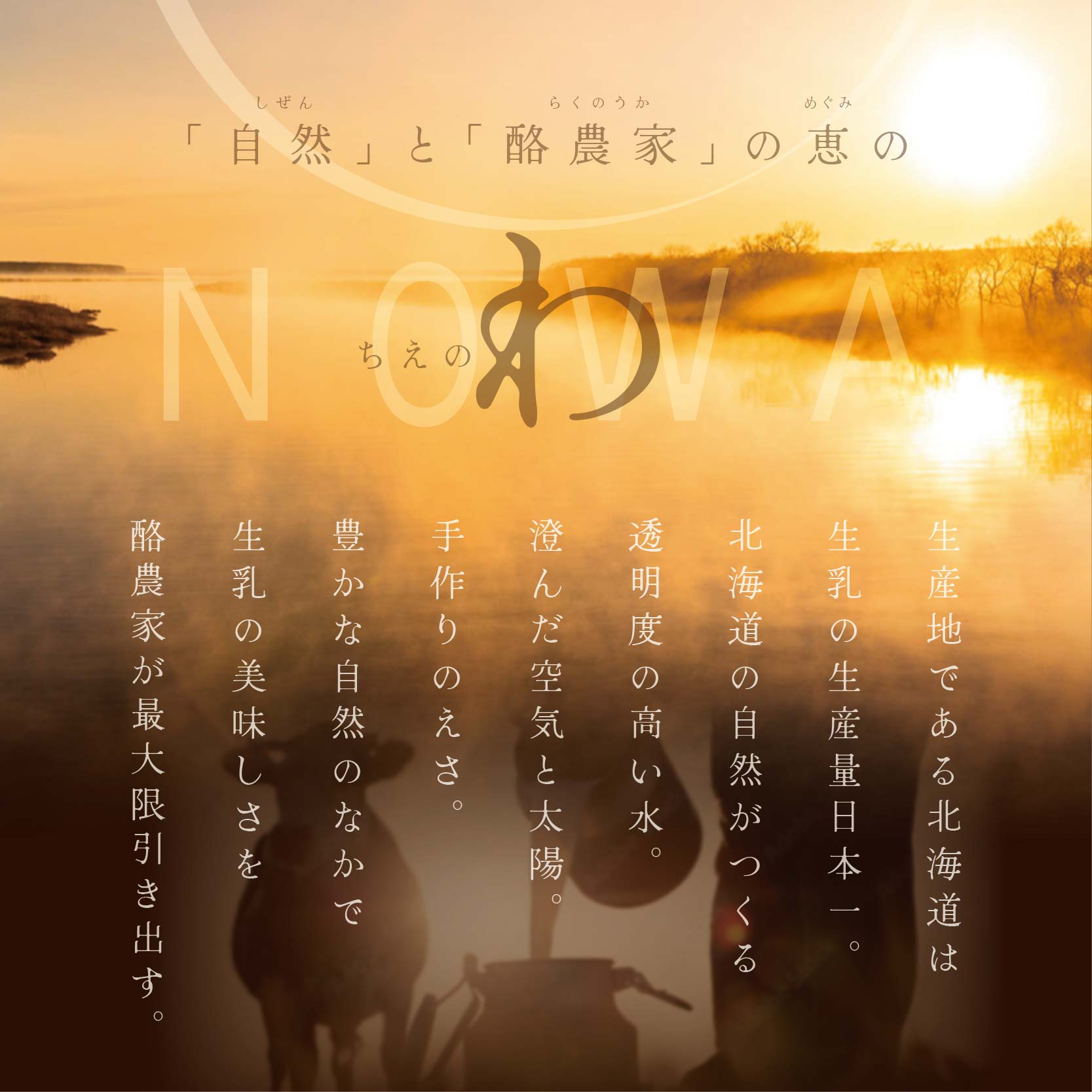 【THEICE】いちごケーキ6個セット【高島屋選定品】【be123-1360】_イメージ2