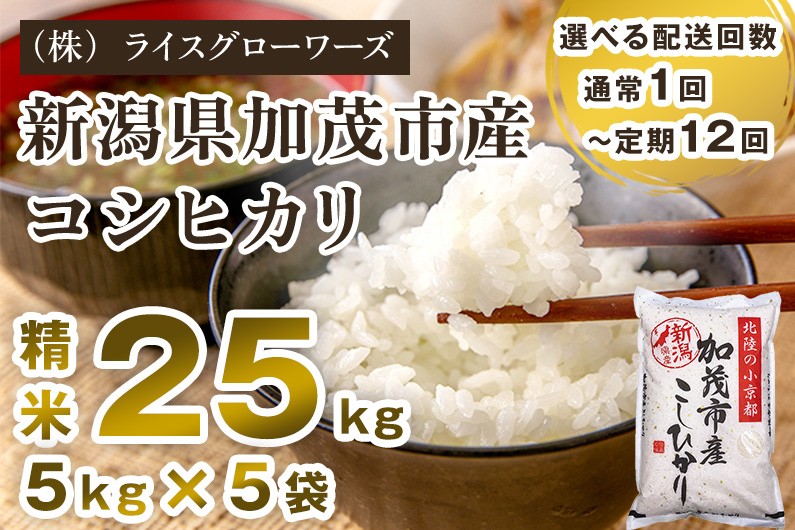 
                  【令和7年産】【選べる配送回数】新潟県加茂市産コシヒカリ 精米25kg（5kg×5）《順次出荷 》 定期便 隔月便 新潟県産コシヒカリ 新潟産コシヒカリ 新潟コシヒカリ 新潟県産こしひかり 新潟産こしひかり 新潟こしひかり コシヒカリ こしひかり お米 白米 米  （株）ライスグローワーズ
                