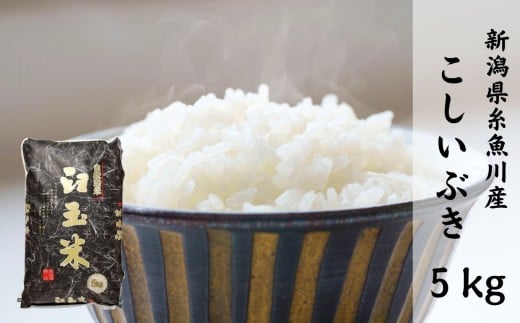 【令和7年産新米】新潟県産こしいぶき『臼玉米』5kg 2025年産 木島米穀店【新潟県 糸魚川市 米 お米 白米 こめ コメ コシイブキ ご飯 ライス ふるさと納税米 お弁当 おにぎり 5キロ 精米 食品 新潟県 糸魚川産 2025年産 食品 人気 おすすめ】