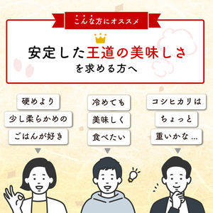 2ヶ月 定期便 米 5kg ひとめぼれ 米