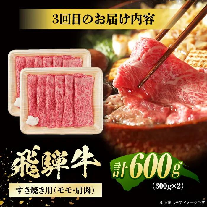 【3回定期便】 飛騨牛 モモ・肩肉 毎月600g / / 浅井商店[AWBJ008]