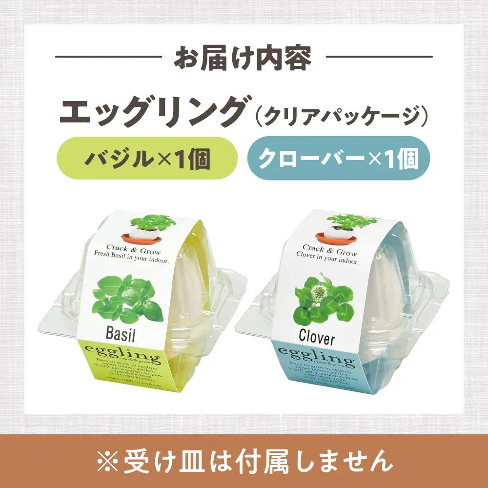 エッグリング クリアパッケージ 2個（バジル、クローバー） / 栽培キット 園芸 ハーブ / 瀬戸市 / 聖新陶芸[BBEK003]