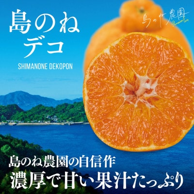 島のね農園のプレミアム不知火 島のねデコ(4kg)【KB01590】【1419528】