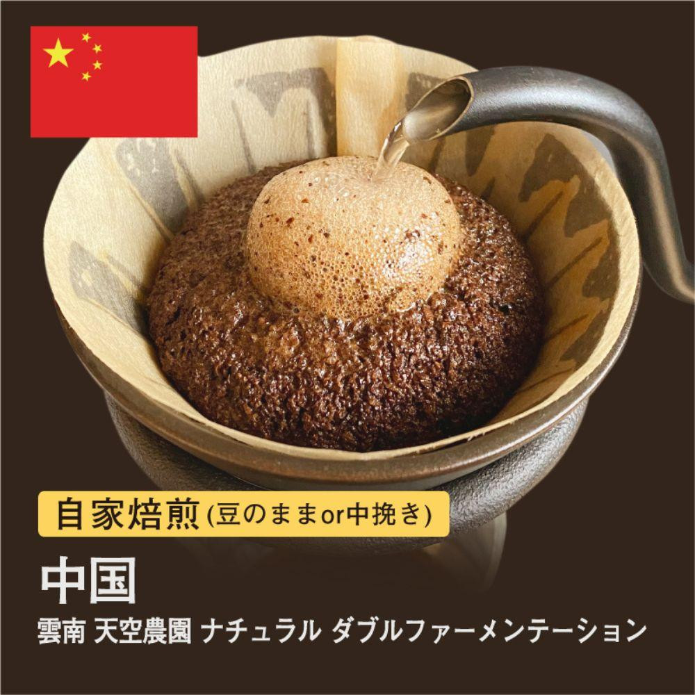 
自家焙煎コーヒー！ #115 310g 雲南 天空農園 ナチュラル ダブルファーメンテーション 珈琲（豆または中挽きから選択）
