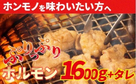 大人気焼肉屋さんのご家庭で簡単！モツ焼き肉セット1600g／Amu-04