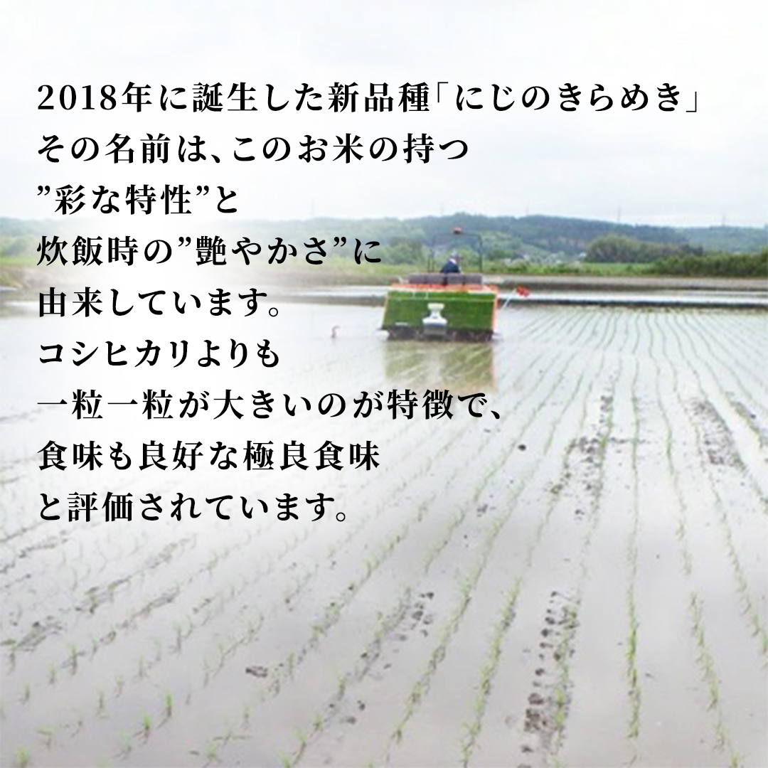 お米 5kg 先行予約 《10月より順次発送予定》 令和8年産 「にじのきらめき 精米」 精白米 米 ご飯 ニジノキラメキ 城里町産 (AX017)
