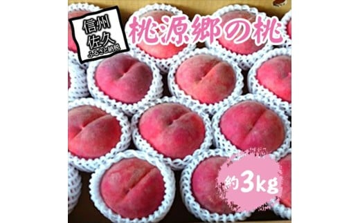 【期間限定】桃源郷の桃 約3kg（2025年8月1日～15日出荷／北海道・沖縄・離島は配送不可）完熟 もも モモ フルーツ 産地直送 旬 信州 長野 佐久市 旬彩 品種指定なし 玉数指定なし