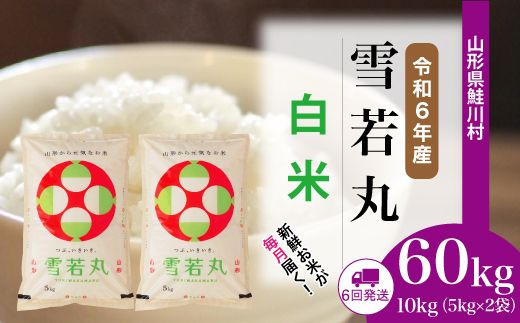＜令和6年産米＞ 令和6年12月上旬より配送開始 雪若丸【白米】60kg定期便(10kg×6回)　鮭川村