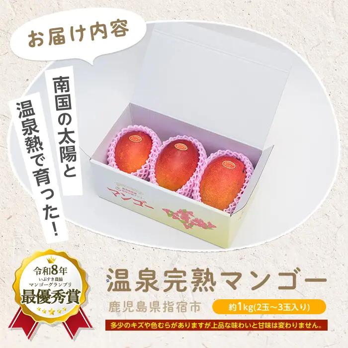 2026年発送 訳あり 鹿児島県 指宿 産 温泉 完熟 マンゴー 約1kg T&P IB057-001 マンゴー マンゴー