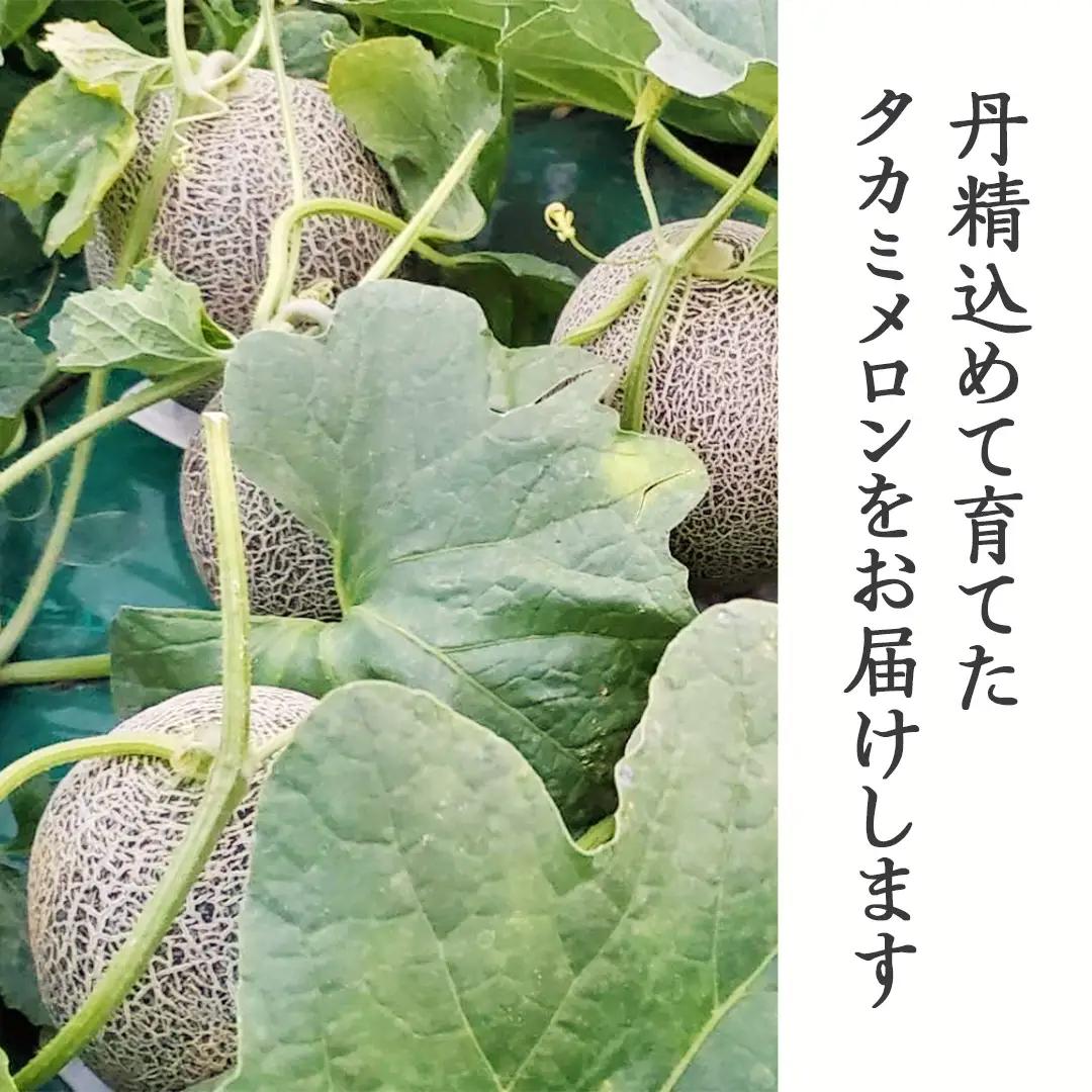 【先行予約】メロン タカミメロン 秀品 2玉 約3.5kg 八千代町産
