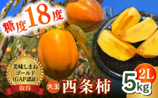 【数量限定10個】【秋限定！先行予約/10月上旬より順次発送】美味しまねゴールド認証取得！ 松江市産 西条柿 合わせ柿 大玉2L 5kg 島根県松江市/mishiro farm [ALIJ005]