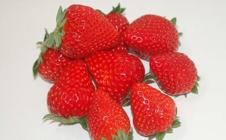 いちご やよい姫  300g×2パック | イチゴ いちご 横瀬町