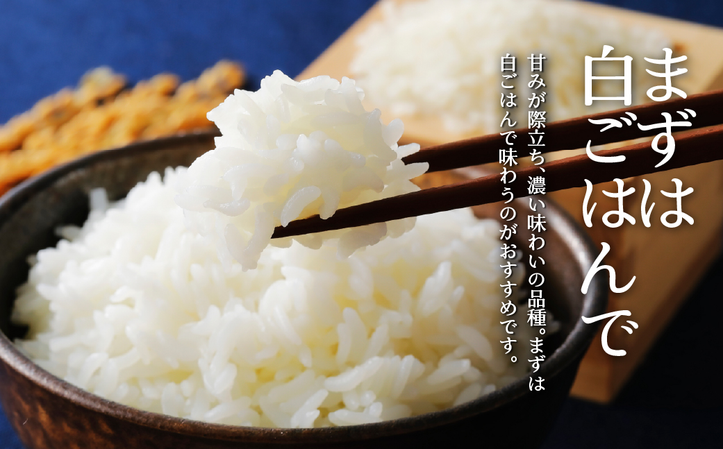【新米】【令和7年産米】【1年定期配送】（精米6kg）ホクレンゆめぴりか（2kg×3袋） SBTD168