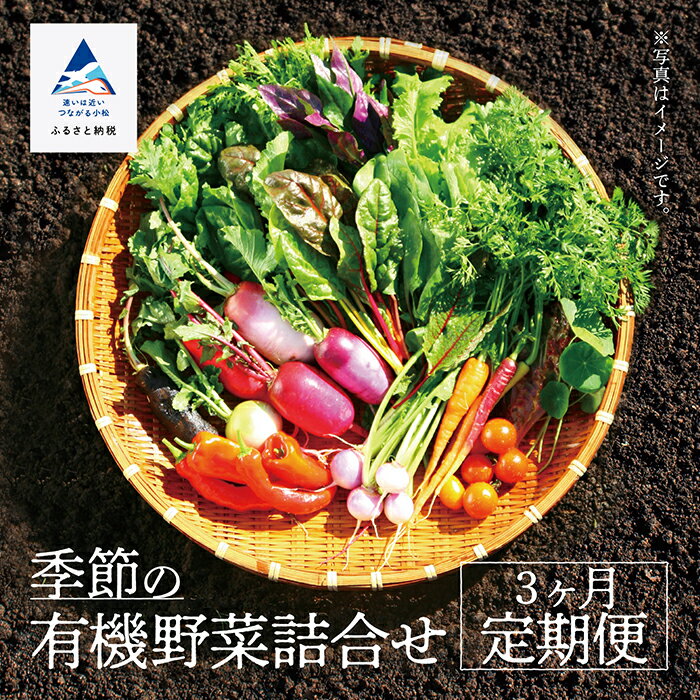 【ふるさと納税】 季節の有機野菜詰合せ 《 定期便 3ヶ月 》 季節の野菜 有機野菜 野菜 野菜セット セット 詰め合わせ おまかせ 定期 3ヵ月 3回 3 人気 ランキング おすすめ お中元 お歳暮 ギフト 小松市 こまつ 石川県 ふるさと 故郷 納税 030071【西田農園】