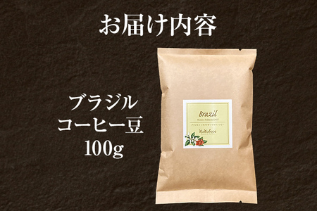 コーヒー豆 ブラジル トミオフクダ DOT ムンドノーボ 100g お試し 自家焙煎 ドリンク 飲料
