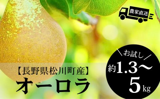 
                  【長野県松川町】農家直送！希少な洋梨 オーロラ 約1.3kg～約5kg ／８月下旬～９月上旬ごろ発送開始予定 // 長野県 南信州  減農薬栽培 洋梨 オーロラ エコファーマー認証 農家支援 HF
                