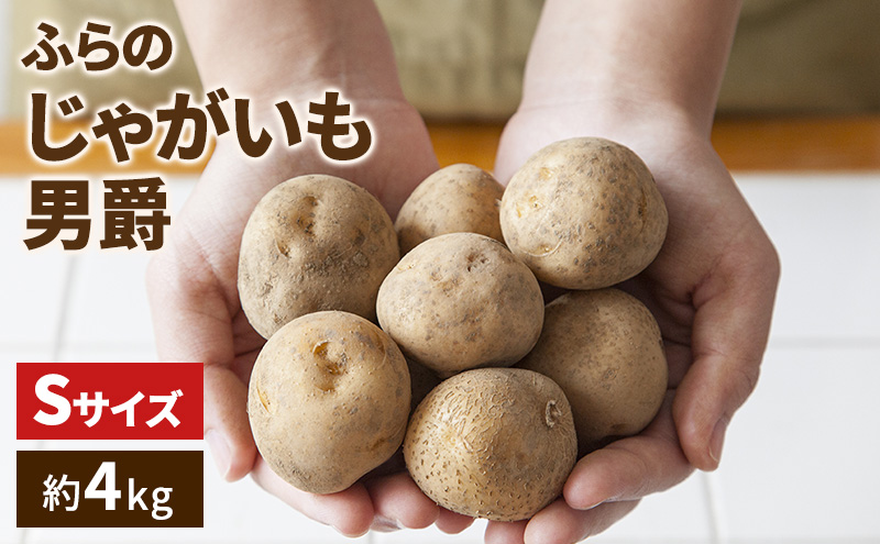 【2026年発送】ふらの じゃがいも（品種：男爵）約4kg 小粒 Sサイズ ( 北海道 富良野市 野菜 新鮮 直送 じゃがいも 男爵 道産 ふらの 送料無料 数量限定 )