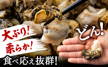 北海道産 ボイルむき灯台つぶ 1kg ＜小田切水産＞ AM111