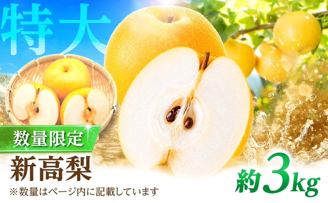 【2026年9月～発送】【梨の王様】 こだわり 新高梨 約3kg / 梨 ナシ フルーツ 果物 旬 先行予約 産地直送 家庭用 国産 / 南島原市 / 株式会社マルハチ[SFG001]
