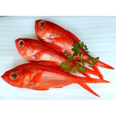 ふるさと納税 銚子市 銚子港厳選!銚子つりきんめ　250〜400g(3尾・冷凍)