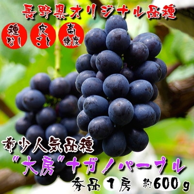 厳選!濃厚大房ナガノパープル　秀品　1房(約600g)【配送不可地域：離島】【1234909】