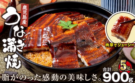 【土用の丑の日特集】2448 鹿児島産うなぎ 合計900g（180g×5尾）　KN021-015-05