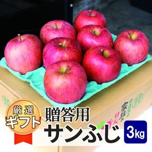 【26年1月出荷予定】平均糖度13度以上! サンふじ 約3kg 贈答【配送不可地域：離島・沖縄県】【1667987】