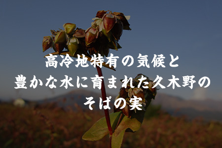 自然豊かな南阿蘇の粗挽きそば 20袋(40束) つゆ40食付き あそ望の郷くぎの そば道場《90日以内に順次出荷(土日祝を除く)》 熊本県南阿蘇村 蕎麦