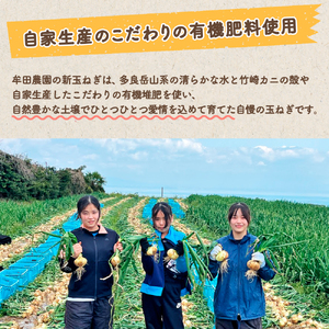 〈先行受付〉牟田農園の春の新玉ねぎ 【訳あり不揃い】１０㎏ たまねぎ タマネギ 野菜 新玉ねぎ 玉ねぎ 10kg 玉ねぎ 佐賀県 太良町 L151